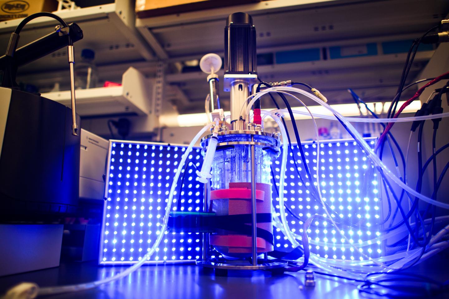 Photos by Sameer A. Khan/Fotobuddy