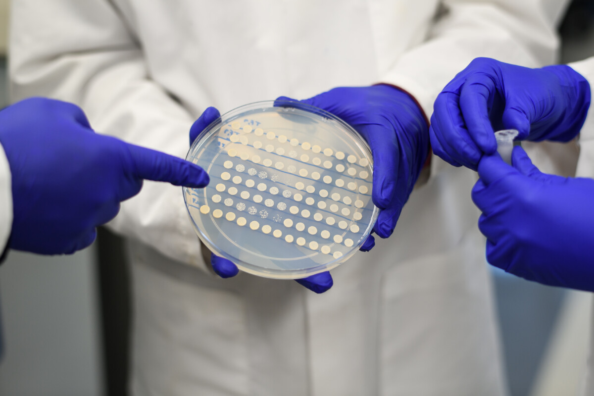 Photos by Sameer A. Khan/Fotobuddy